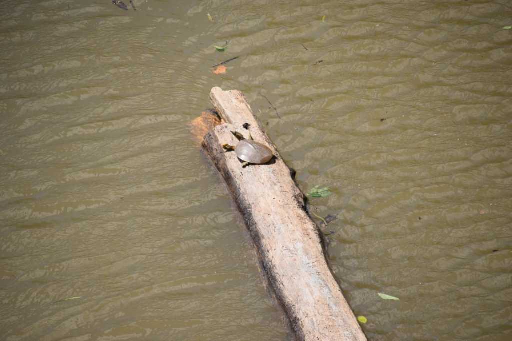 DSC_0280Mittel_.JPG